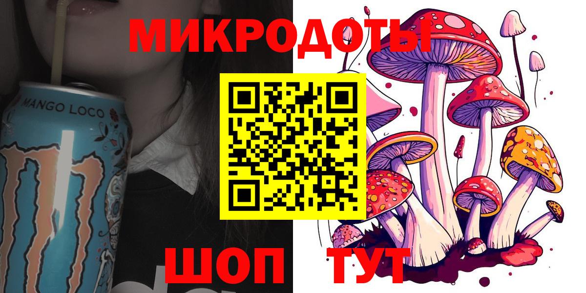 Северобайкальск  Галлюциногенные грибы Psilocybine cubensis  Вход с VPN 